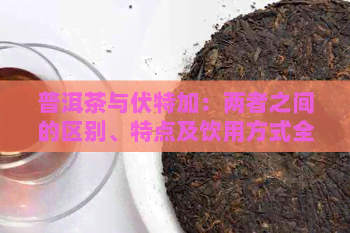 普洱茶与伏特加：两者之间的区别、特点及饮用方式全解析