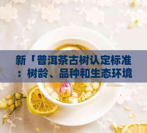 新「普洱茶古树认定标准：树龄、品种和生态环境的综合考量」