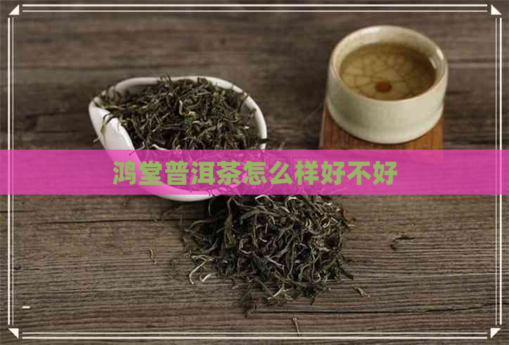 鸿堂普洱茶怎么样好不好