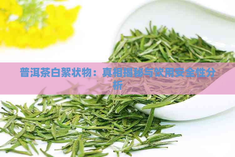 普洱茶白絮状物：真相揭秘与饮用安全性分析