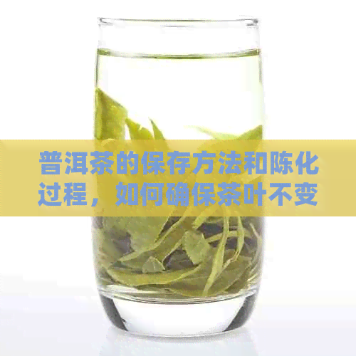 普洱茶的保存方法和陈化过程，如何确保茶叶不变质？