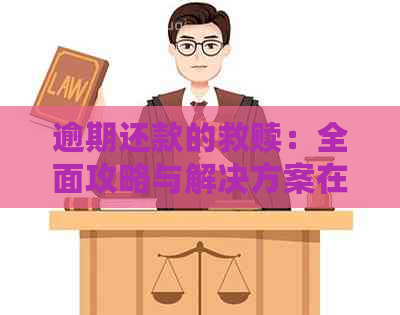 逾期还款的救赎：全面攻略与解决方案在微贷网