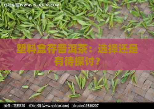 塑料盒存普洱茶：选择还是有待探讨？