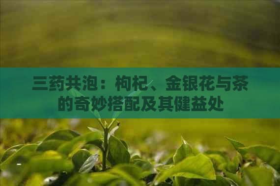 三药共泡：枸杞、金银花与茶的奇妙搭配及其健益处