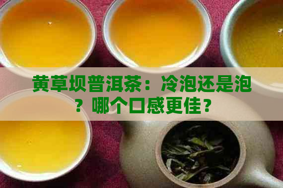 黄草坝普洱茶：冷泡还是泡？哪个口感更佳？