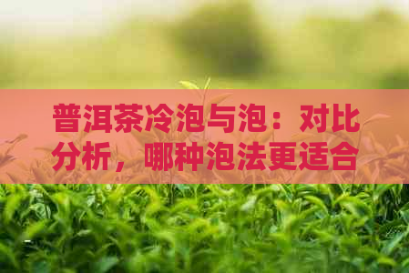 普洱茶冷泡与泡：对比分析，哪种泡法更适合您？