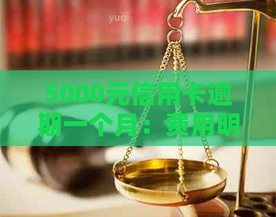 5000元信用卡逾期一个月：费用明细与影响分析