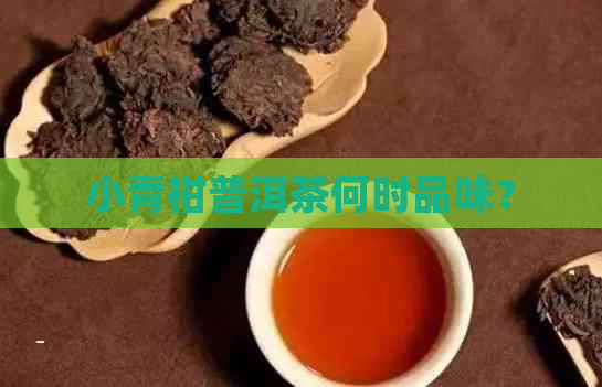 小青柑普洱茶何时品味？