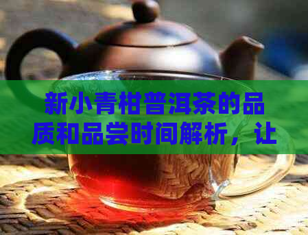 新小青柑普洱茶的品质和品尝时间解析，让你了解何时品尝最美味！