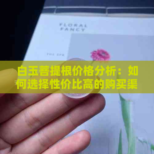 白玉菩提根价格分析：如何选择性价比高的购买渠道？