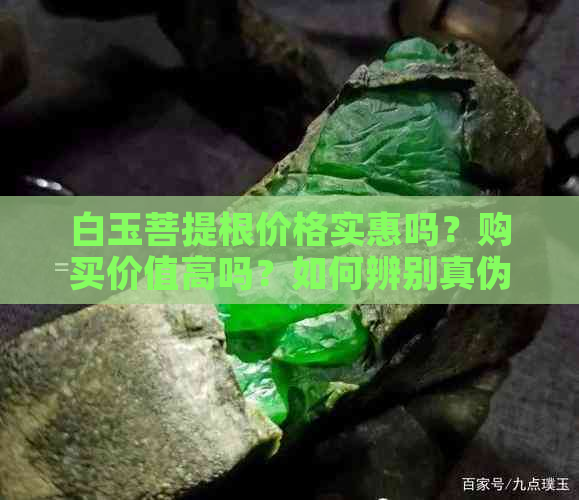 白玉菩提根价格实惠吗？购买价值高吗？如何辨别真伪与优劣？