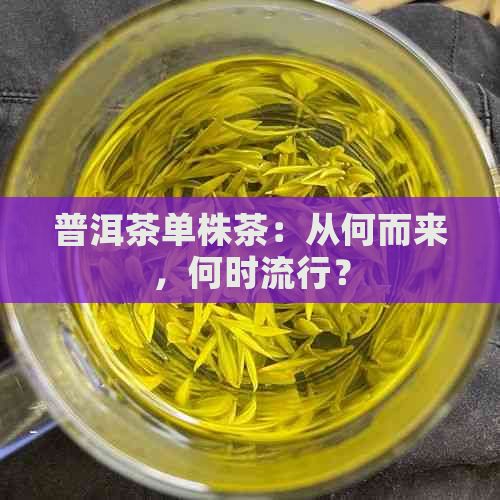 普洱茶单株茶：从何而来，何时流行？