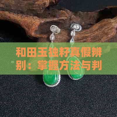 和田玉独籽真假辨别：掌握方法与判断标准