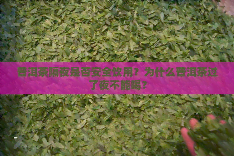 普洱茶隔夜是否安全饮用？为什么普洱茶过了夜不能喝？