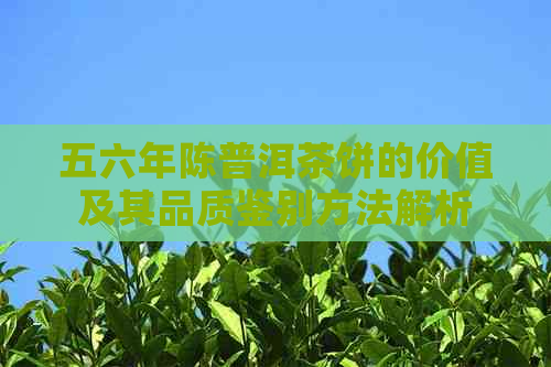 五六年陈普洱茶饼的价值及其品质鉴别方法解析