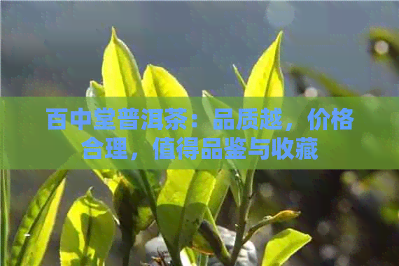 百中堂普洱茶：品质越，价格合理，值得品鉴与收藏