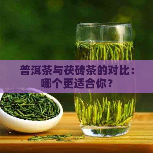 普洱茶与茯砖茶的对比：哪个更适合你？