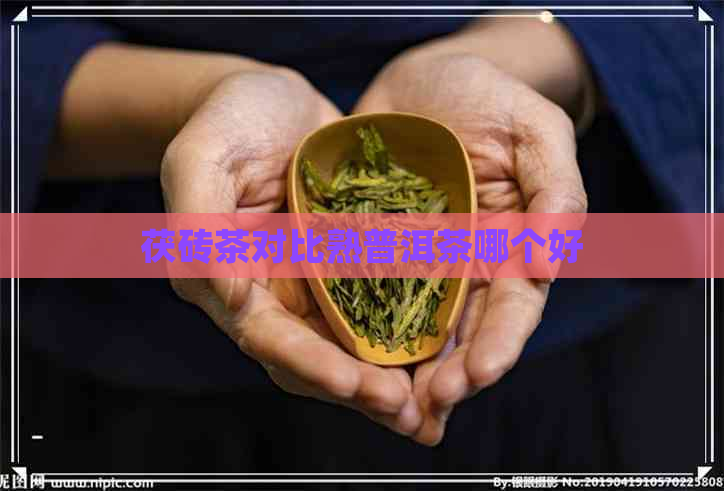 茯砖茶对比熟普洱茶哪个好