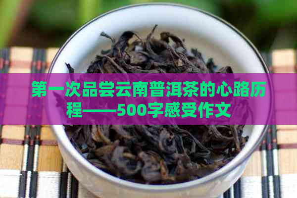 之一次品尝云南普洱茶的心路历程——500字感受作文