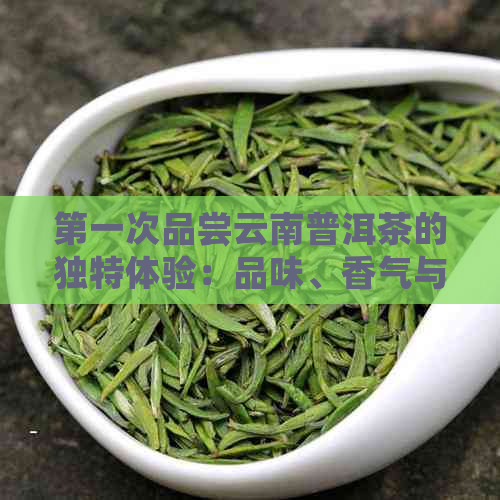 之一次品尝云南普洱茶的独特体验：品味、香气与回的魅力