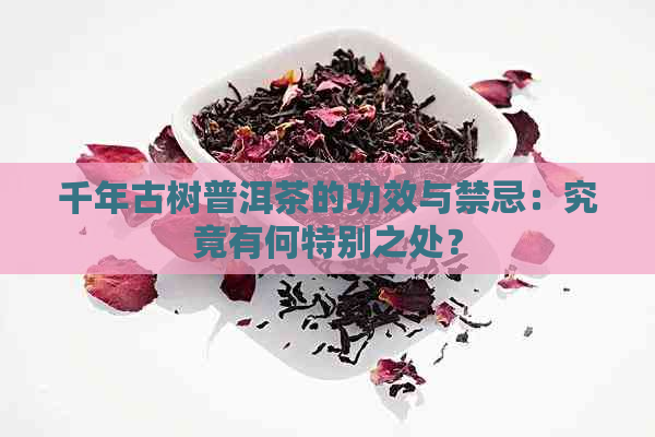 千年古树普洱茶的功效与禁忌：究竟有何特别之处？