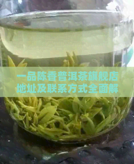 一品陈香普洱茶旗舰店地址及联系方式全面解析，助您轻松找到我们的门店！