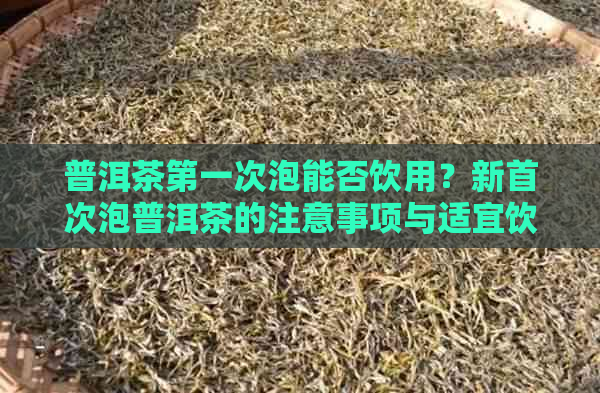 普洱茶之一次泡能否饮用？新首次泡普洱茶的注意事项与适宜饮用时间