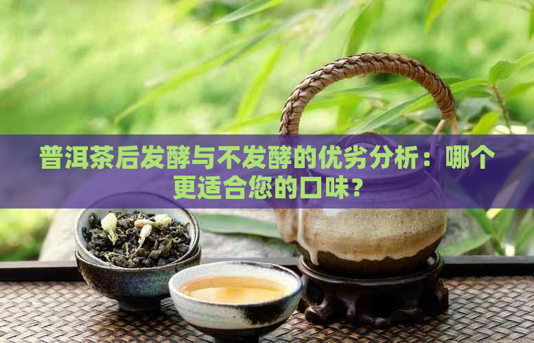 普洱茶后发酵与不发酵的优劣分析：哪个更适合您的口味？