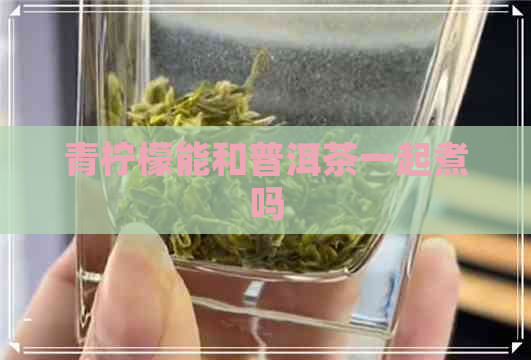 青柠檬能和普洱茶一起煮吗