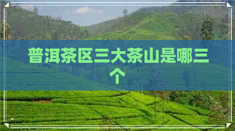 普洱茶区三大茶山是哪三个