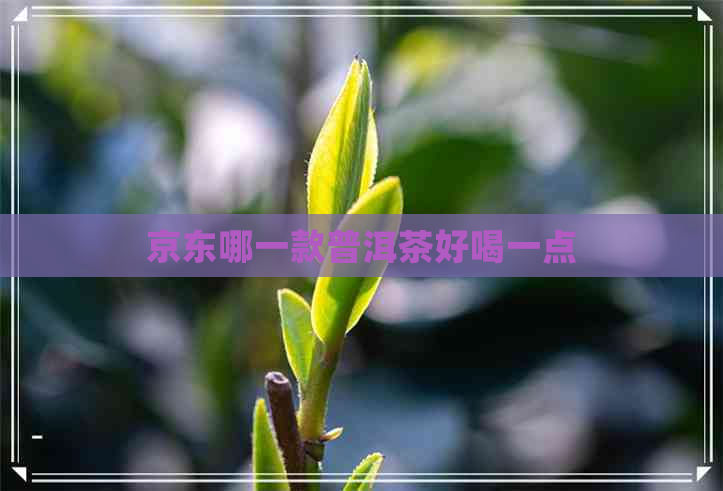 京东哪一款普洱茶好喝一点