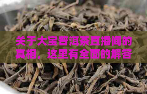 关于大宝普洱茶直播间的真相，这里有全面的解答！