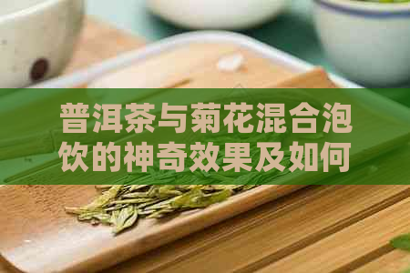 普洱茶与菊花混合泡饮的神奇效果及如何制作，一文解析所有疑问