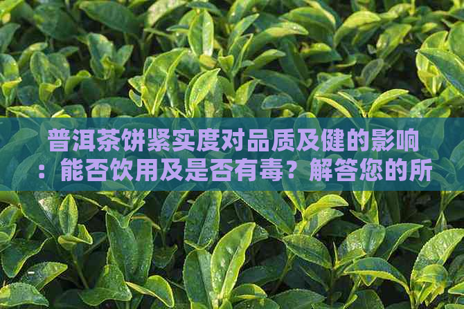 普洱茶饼紧实度对品质及健的影响：能否饮用及是否有？解答您的所有疑问