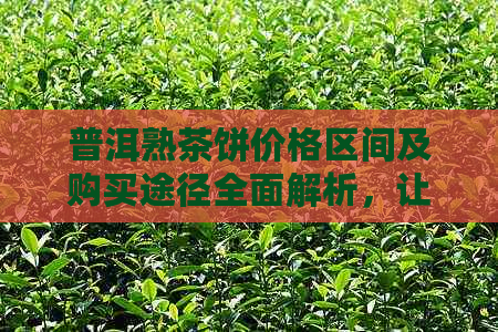 普洱熟茶饼价格区间及购买途径全面解析，让你轻松了解市场行情！