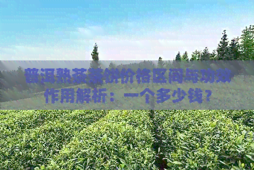 普洱熟茶茶饼价格区间与功效作用解析：一个多少钱？