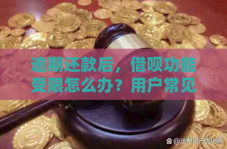 逾期还款后，借呗功能受限怎么办？用户常见问题解答