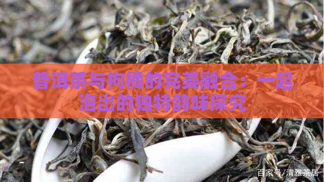 普洱茶与枸橘的完美融合：一起泡出的独特韵味探究