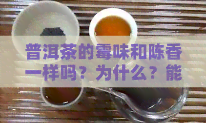 普洱茶的霉味和陈香一样吗？为什么？能喝吗？怎么区分？