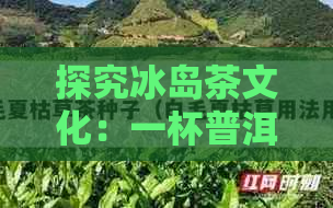 探究冰岛茶文化：一杯普洱茶在冰岛的市场价值及其背后的故事