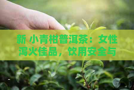 新 小青柑普洱茶：女性泻火佳品，饮用安全与效果解析