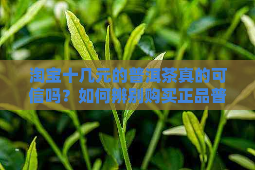 淘宝十几元的普洱茶真的可信吗？如何辨别购买正品普洱茶的方法与技巧