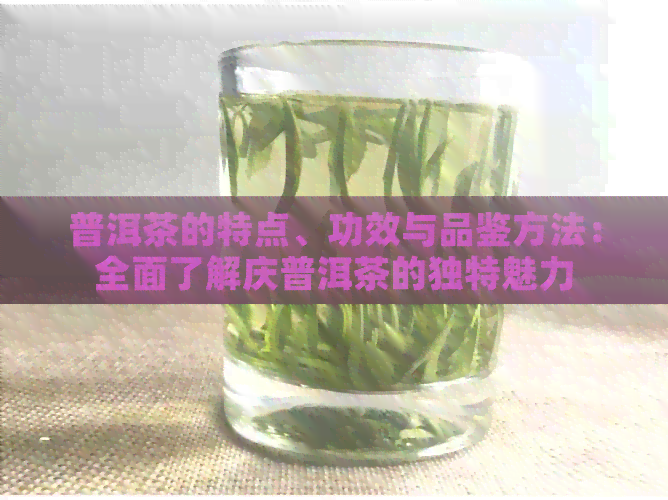 普洱茶的特点、功效与品鉴方法：全面了解庆普洱茶的独特魅力