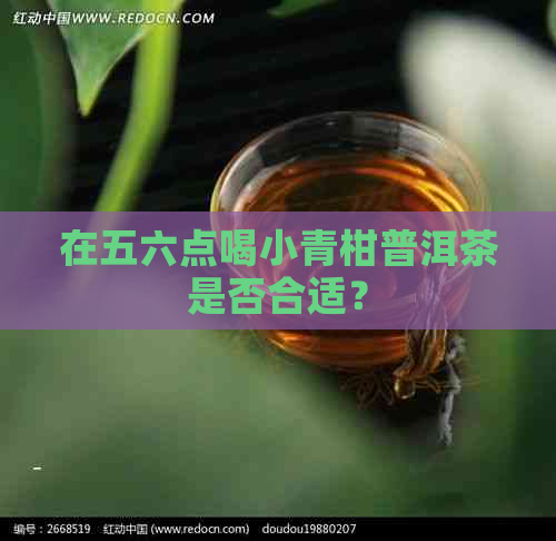 在五六点喝小青柑普洱茶是否合适？