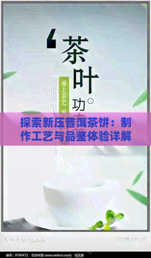 探索新压普洱茶饼：制作工艺与品鉴体验详解