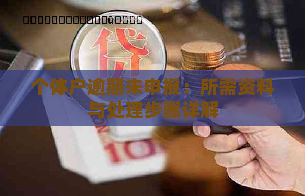 个体户逾期未申报：所需资料与处理步骤详解