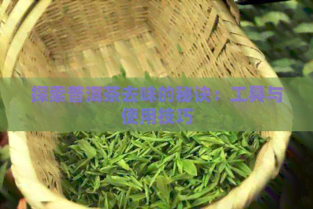 探索普洱茶去味的秘诀：工具与使用技巧