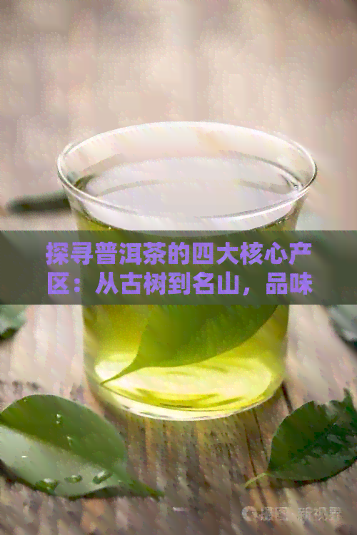 探寻普洱茶的四大核心产区：从古树到名山，品味云南茶叶的魅力