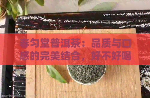 春匀堂普洱茶：品质与口感的完美结合，好不好喝？