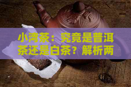 小湾茶：究竟是普洱茶还是白茶？解析两种茶的不同与特色